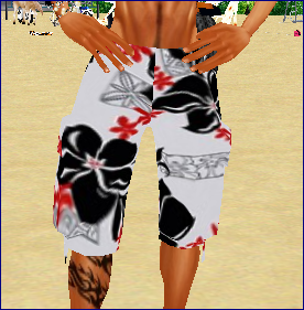  photo tropicalswimtrunks1a_zpsfaa3dcae.png