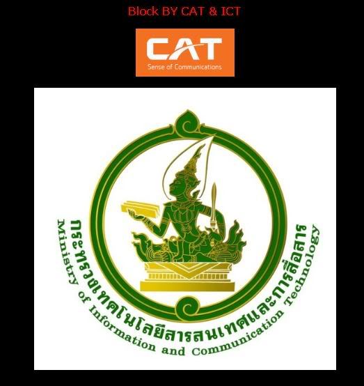 CAT-B-2-1.jpg