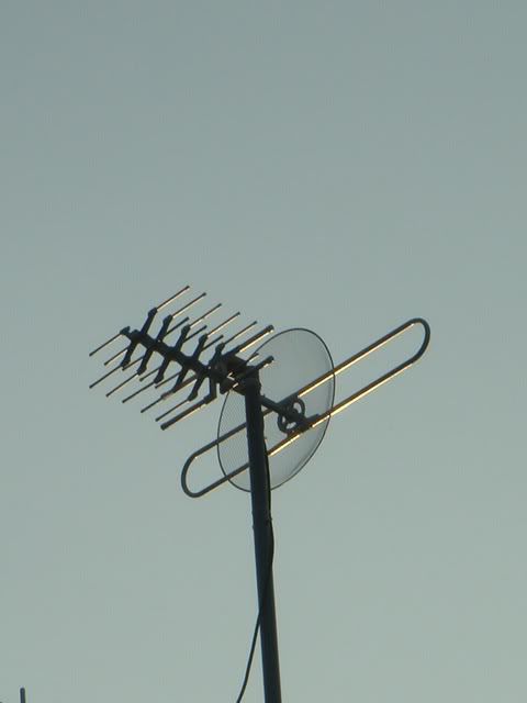 DSC01350.jpg
