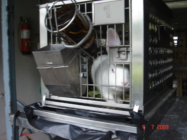 DSC05903.jpg