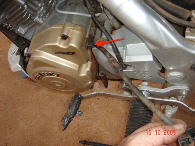 DSC06263.jpg
