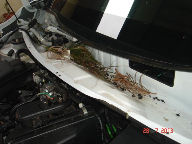 DSC06425_zpse6d6eef5.jpg