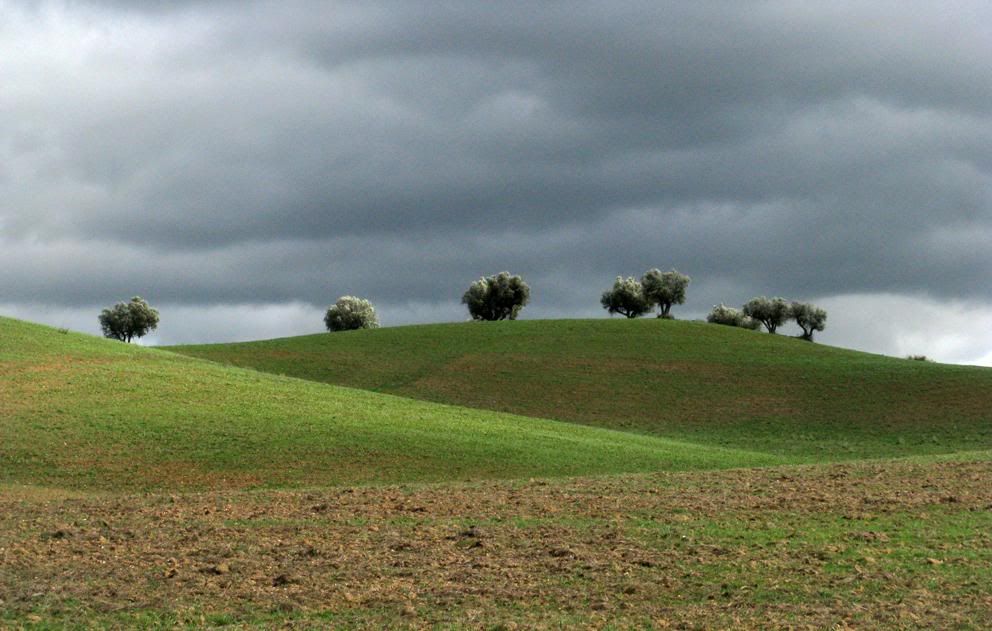 alentejo Pictures, Images and Photos