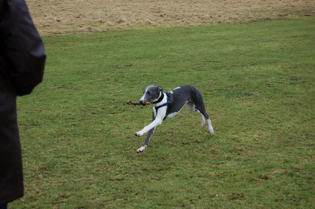 DSC_1457.jpg