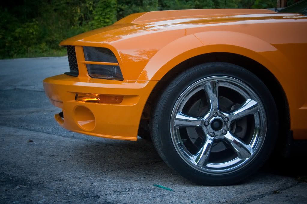 IMAGE: http://i451.photobucket.com/albums/qq233/baseballnumb7/IMG_1986.jpg