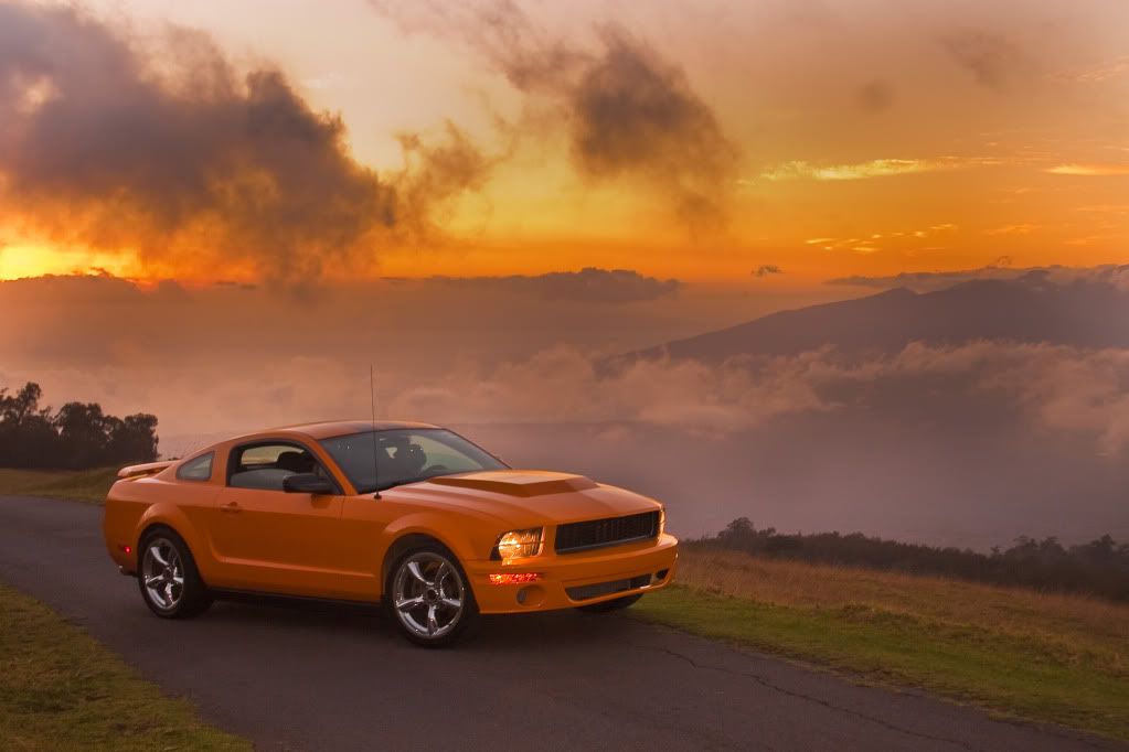 IMAGE: http://i451.photobucket.com/albums/qq233/baseballnumb7/IMG_2241-2.jpg