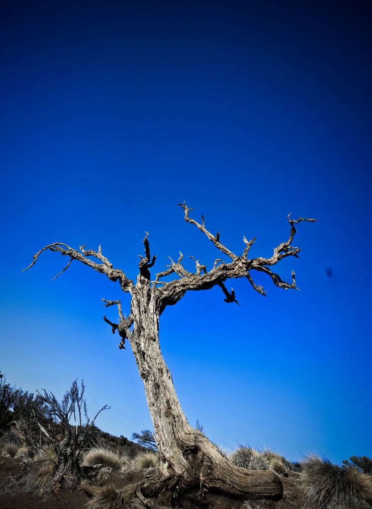 IMAGE: http://i451.photobucket.com/albums/qq233/baseballnumb7/Untitled_Panorama18.jpg