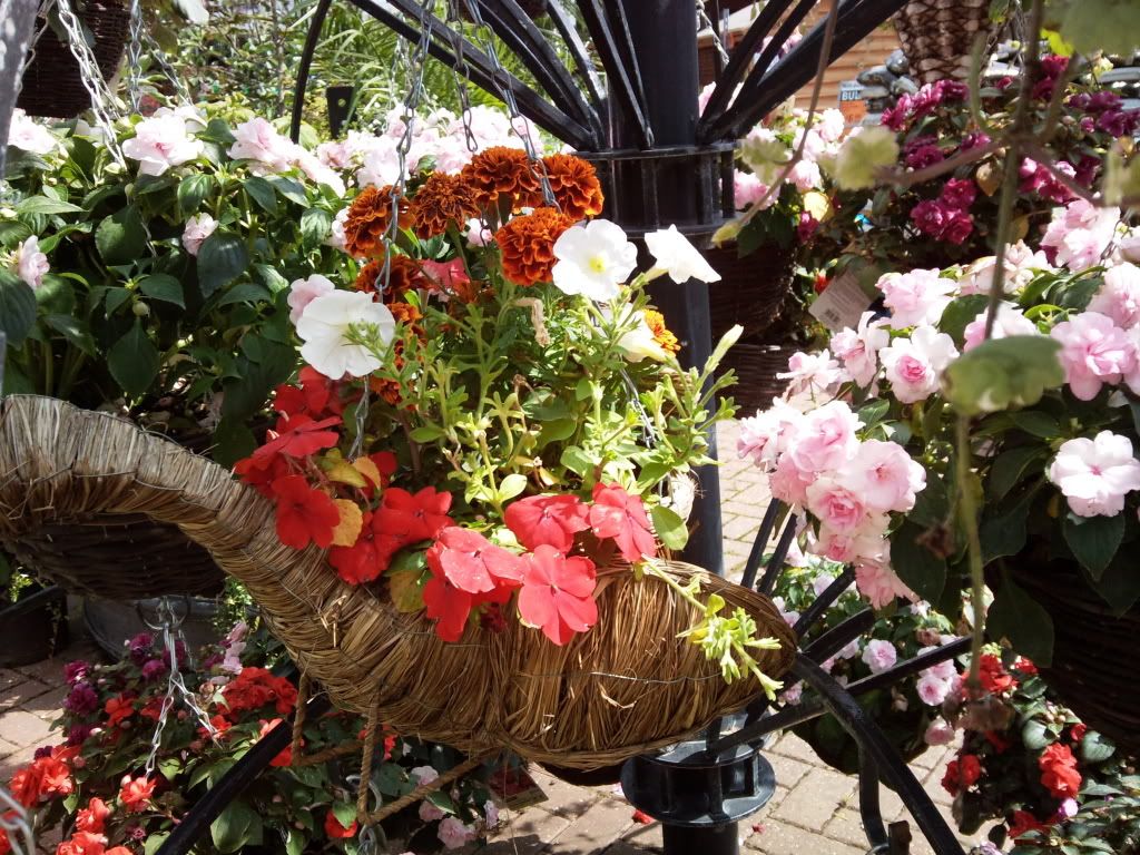 Photo019.jpg
