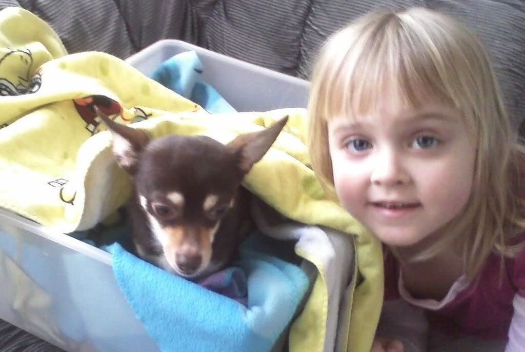 doggie.jpg