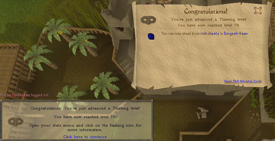 78Thieving.png
