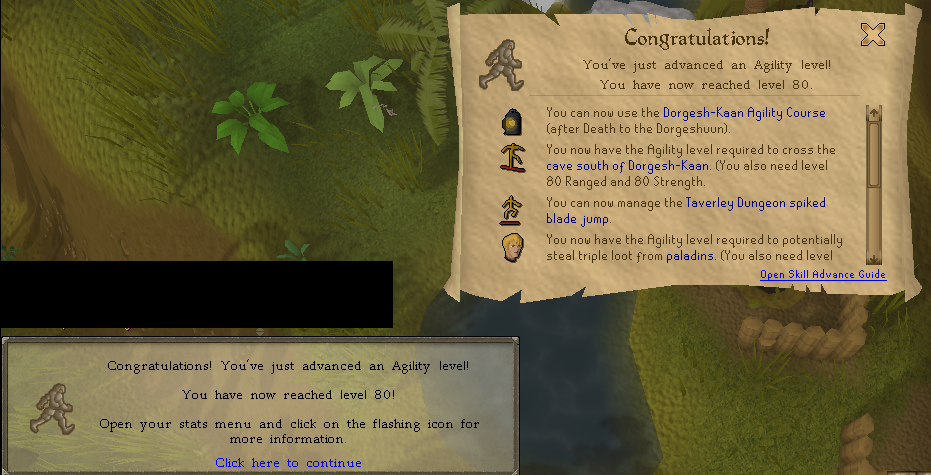 80Agility.png