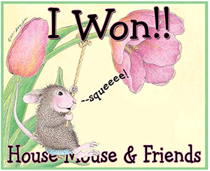 I won a House Mouse challenge!