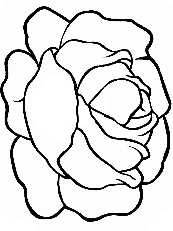 coloring page lettuce