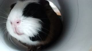 DSC01073.jpg