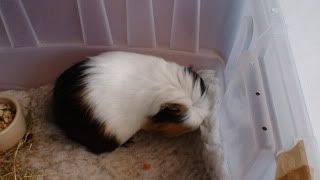 DSC01441.jpg
