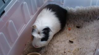 DSC01442.jpg