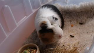 DSC01444.jpg