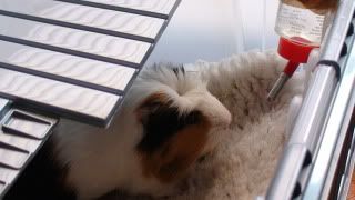 DSC01445.jpg