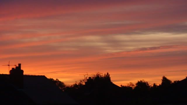 DSC01624.jpg