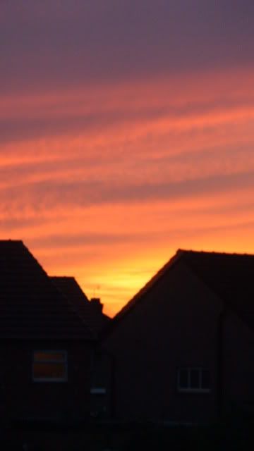 DSC01627-1.jpg