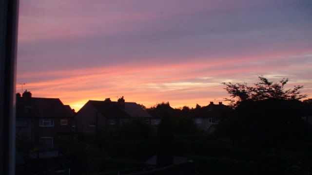 DSC01630.jpg
