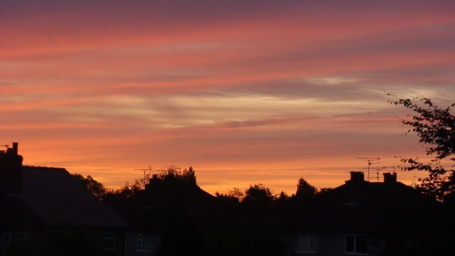 DSC01631.jpg