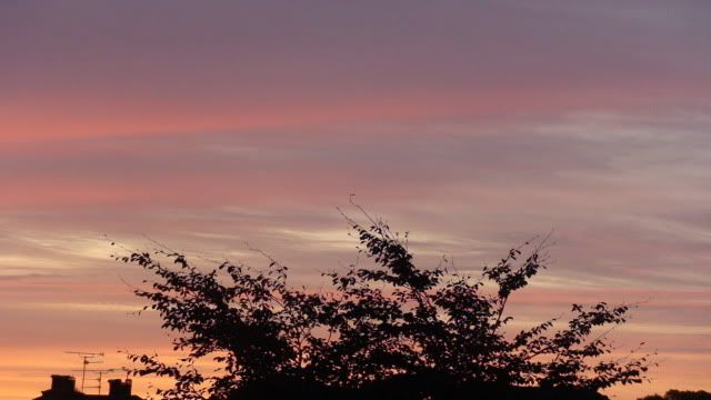 DSC01634.jpg