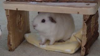 DSC01373.jpg