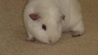 DSC01402.jpg