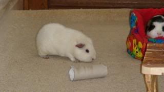 DSC01403.jpg