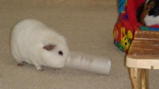 DSC01404.jpg