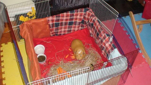 DSC03472.jpg