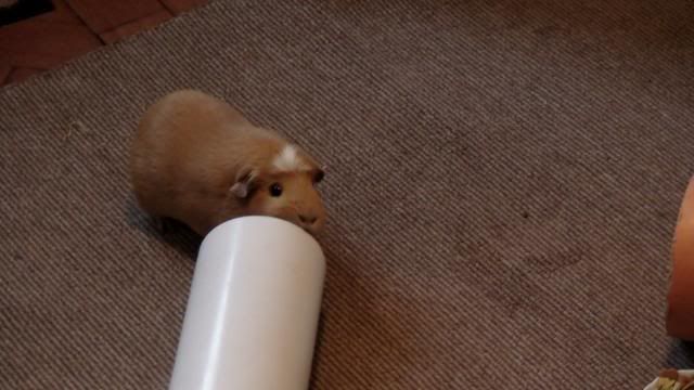 DSC03501.jpg