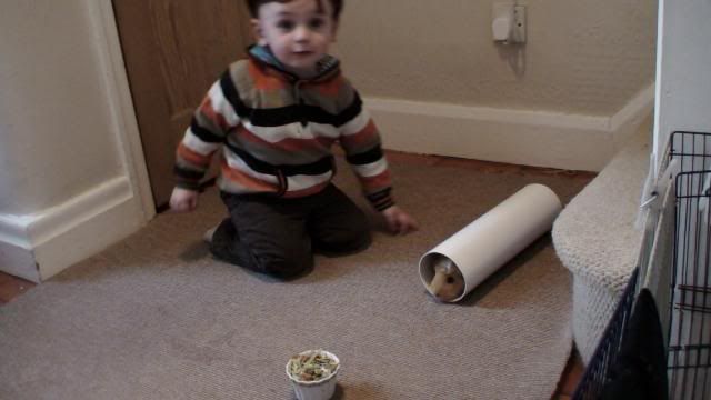 DSC03526.jpg