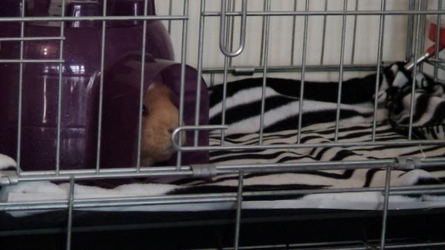 DSC03537.jpg