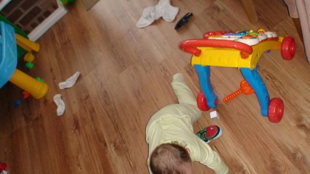012.jpg