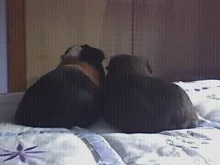 ReneandBerrtieonbed.jpg